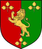Irish Family Shield for MacGaynor (Meath and Longford)