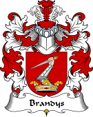 Polish Coat of Arms for Brandys