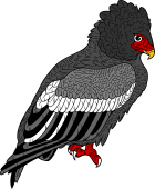 Birds of Prey Clipart image: Bateleur Eagle