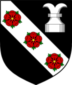 English Family Shield for Small