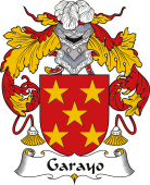Spanish Coat of Arms for Garayo