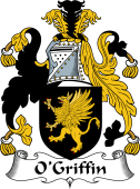 Irish Coat of Arms for O'Griffin or Griffey