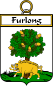 Irish Badge for Furlong