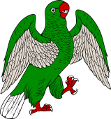 Popinjay or Parrot