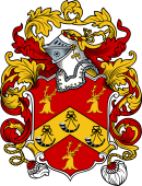 English or Welsh Coat of Arms for Hunter