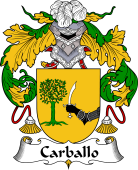 Spanish Coat of Arms for Carballo