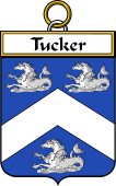 Irish Badge for Tucker