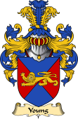 English Coat of Arms (v.23) for the family Young II