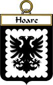 Irish Badge for Hoare