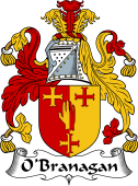 Irish Coat of Arms for O'Branagan or Branigan