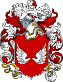 English or Welsh Coat of Arms for Rainey (Ref Berry)