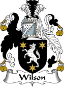 Irish Coat of Arms for Wilson I