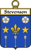 Irish Badge for Stevenson