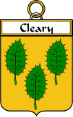 Irish Badge for Cleary or O'Clery