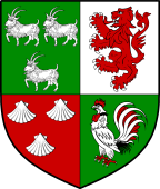 Irish Family Shield for O'Conry (Offaly)