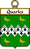 Irish Badge for Quarles
