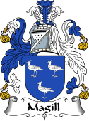 Irish Coat of Arms for Magill