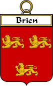Irish Badge for Brien