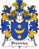 Polish Coat of Arms for Drzewica