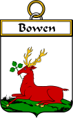 Irish Badge for Bowen
