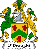 Irish Coat of Arms for O'Drought