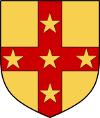 Irish Family Shield for Galwey