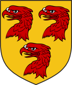 Scottish Family Shield for MacNicol or Nicolson