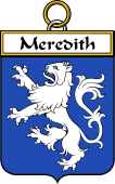 Irish Badge for Meredith