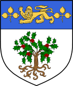 Irish Family Shield for O'Dowling (Kilkenny)