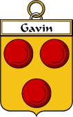 Irish Badge for Gavin or O'Gavan