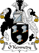 Irish Coat of Arms for O'Kennedy