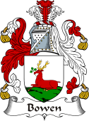Irish Coat of Arms for Bowen