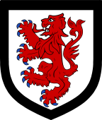 Irish Family Shield for Lane (Roscommon)