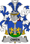 Irish Coat of Arms for Owen