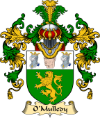 Irish Family Coat of Arms (v.25) O'Mulledy or O'Neady
