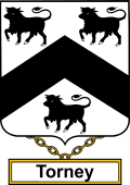 English Coat of Arms Shield Badge for Torney