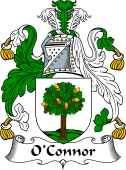 Irish Coat of Arms for O'Connor (Faly)