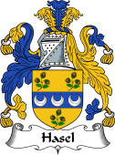 English Coat of Arms for Hasel