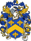 English or Welsh Coat of Arms for Bee