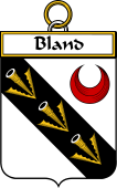 Irish Badge for Bland