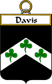 Irish Badge for Davis