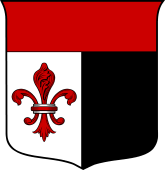 Italian Family Shield for Castagna