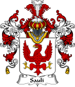 Italian Family Coat of Arms (v.25b) Sauli