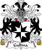 Italian Coat of Arms for Gallina
