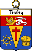 Irish Badge for Tuohy or O'Toohey