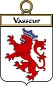 French Coat of Arms Badge for Vasseur