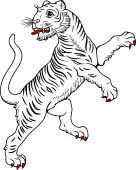 Bengel Tiger
