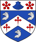 Scottish Family Shield for Shedden