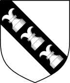 Irish Family Shield for Bunbury (Carlow)