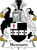 Irish Coat of Arms for Newsam or Newsom